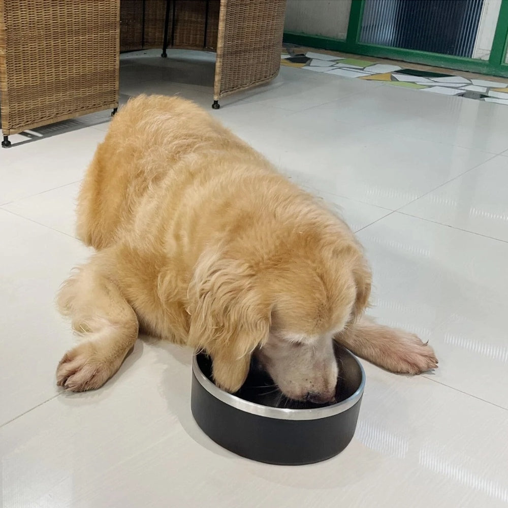 Dog Bowl, Stainless Steel Dog Food And Water Bowl With Non Slip Quiet Bottom, Easy To Clean, Dishwasher Safe, 42oz Pawsentialshub