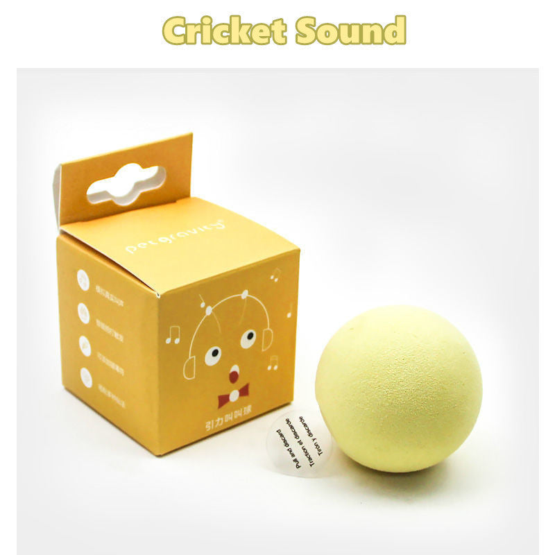 Gravity Called The Ball Mint Kitten Self-hey Toy Pawsentianshub