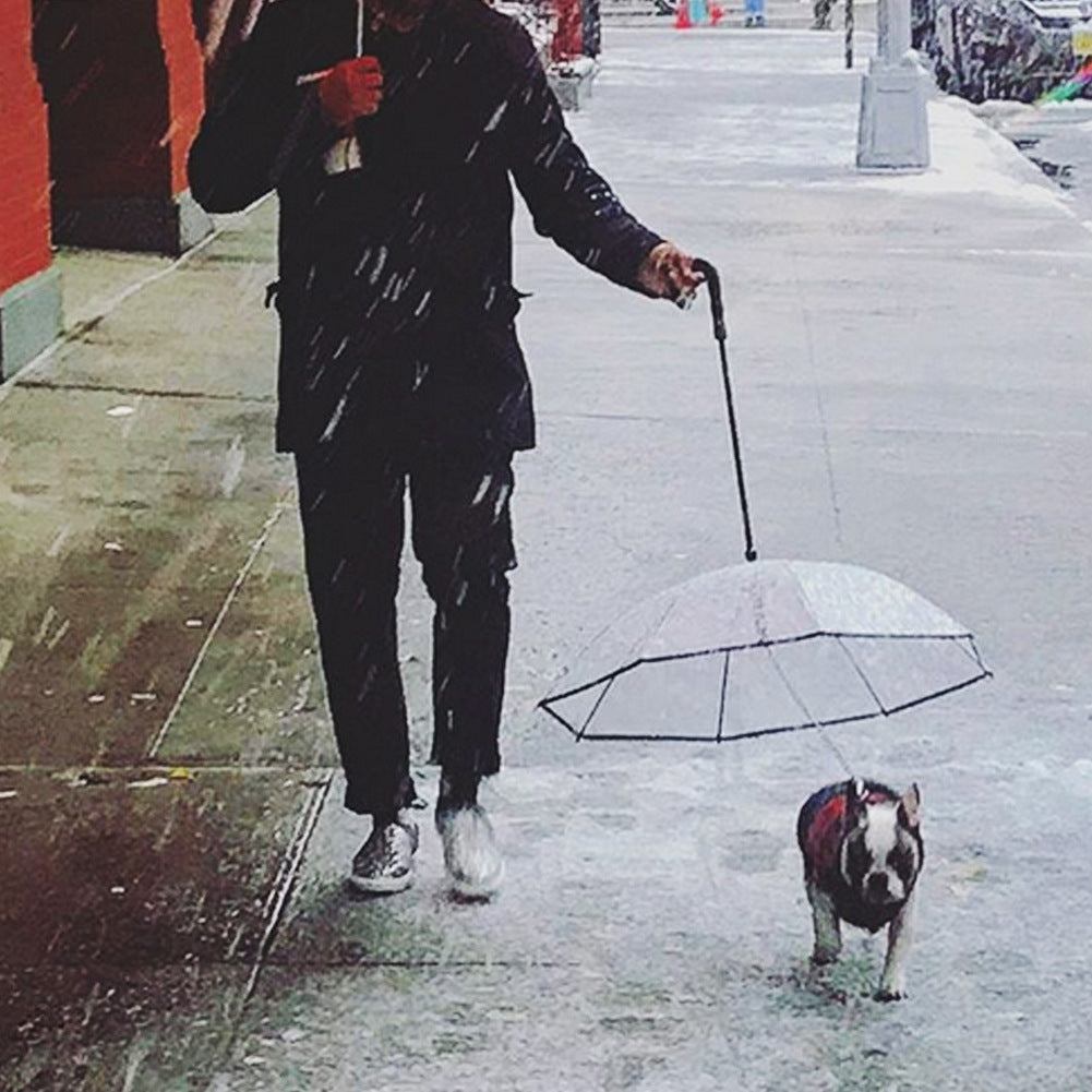 Dog's Transparent Umbrella With Traction Chain Removable Umbrella Pet Products - Pawsentialshub