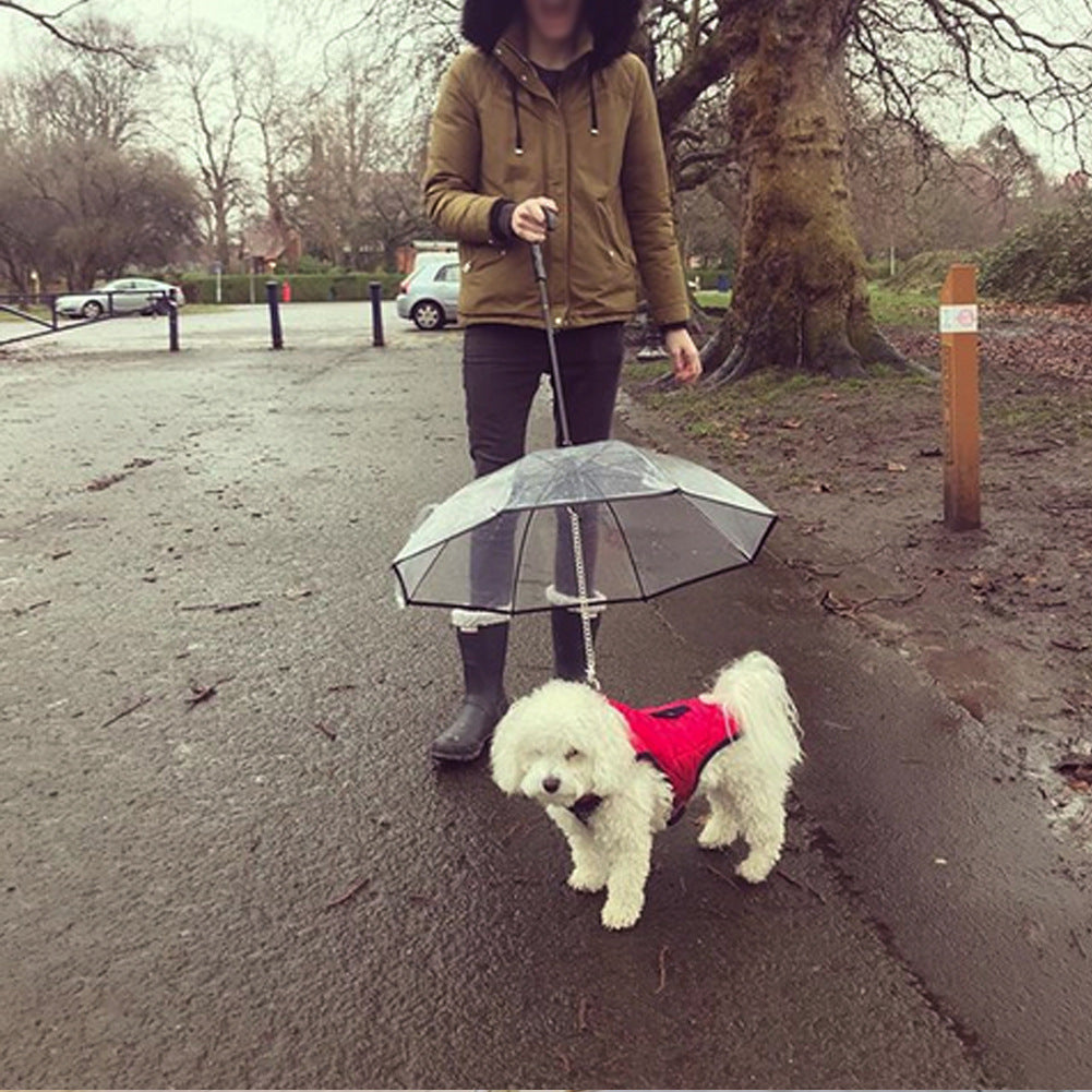 Dog's Transparent Umbrella With Traction Chain Removable Umbrella Pet Products - Pawsentialshub