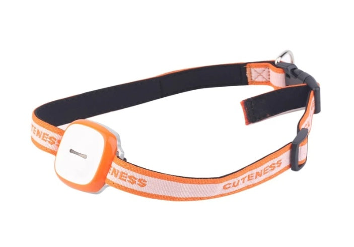 Collared Cat Dog Tracker Pet Locator Pet My Store