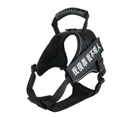 Pet Harness - Pawsentialshub