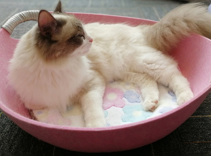 Pet Perch Cat Scratcher Bed House - Pawsentialshub