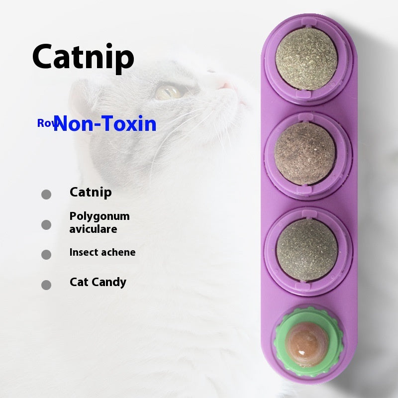 Cat Toy Snacks Molar Long Lasting Pet Supplies Pawsentialshub