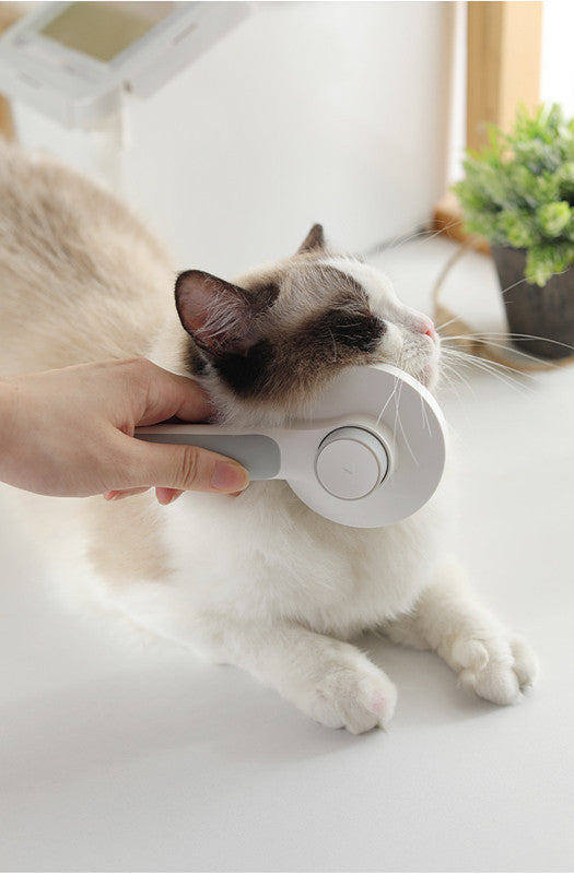 Round Handle Pet Passage Comb - Pawsentialshub