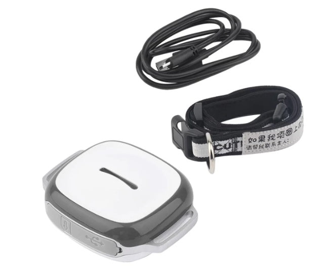 Collared Cat Dog Tracker Pet Locator Pet My Store