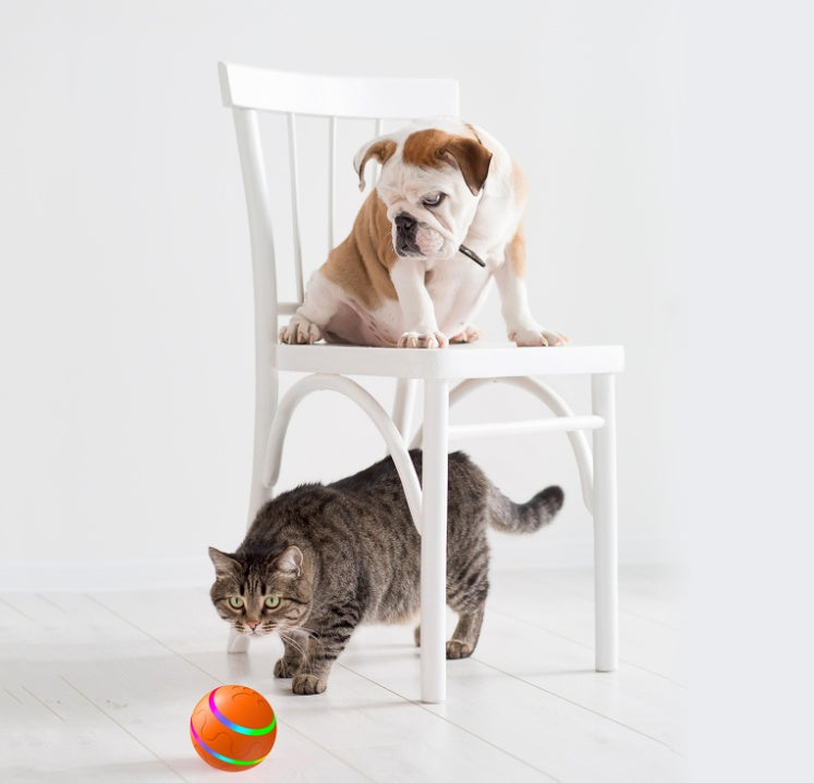 Pet New Cat Wicked Ball Toy Intelligent Ball USB Cat Toys Self Rotating Ball Automatic Rotation Ball - Pawsentialshub
