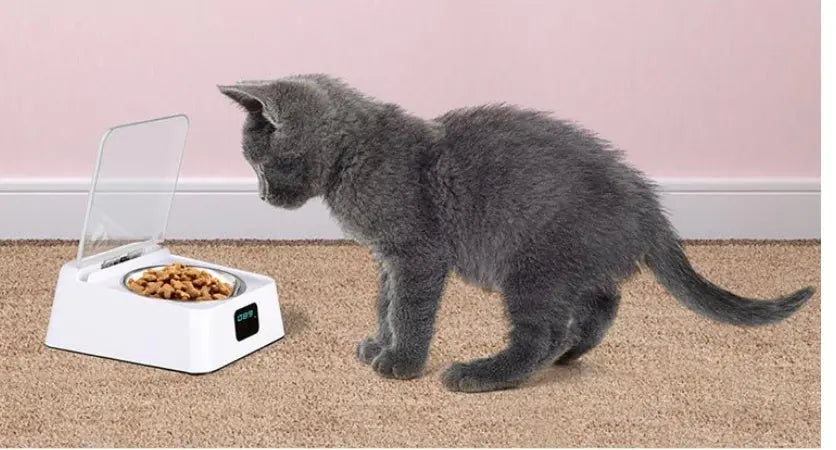 Pet 5G Bowl Automatic Pet Feeder - Pawsentialshub