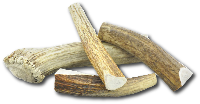 Large Elk Chew-3