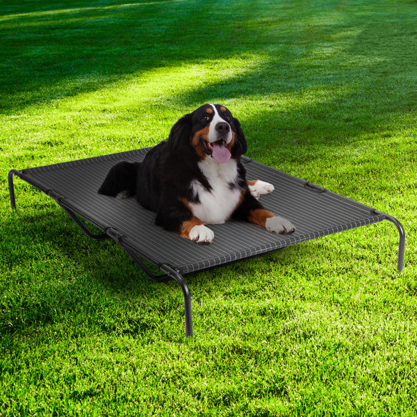 Pet Beds - Pawsentialshub