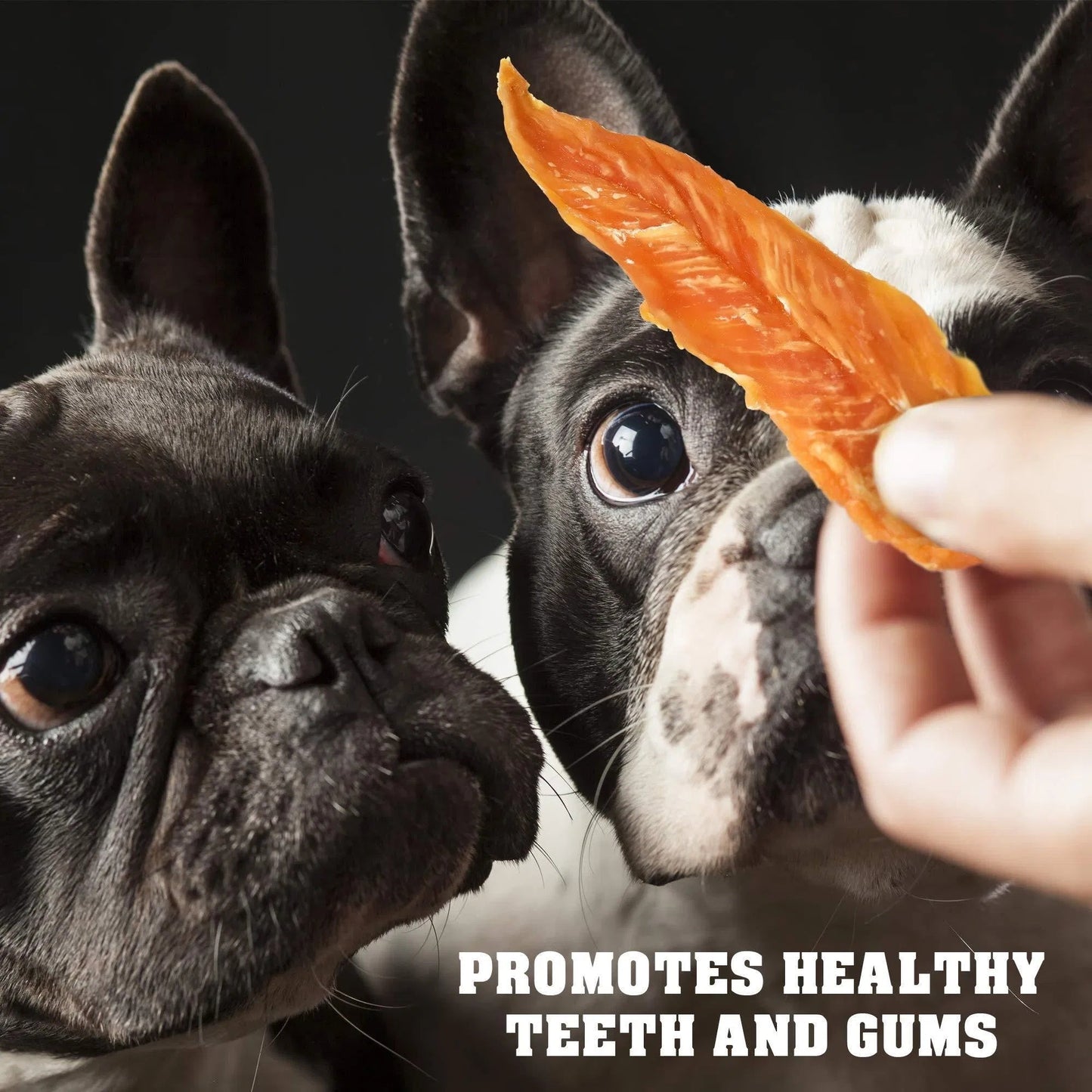 Chicken Jerky Dog Treats 1.5 Lb Human Grade Pet Snacks Grain Free Organic Meat All Natural High Protein Dried Strips Best Chews For Training Small & Large Dogs Pawsentialshub