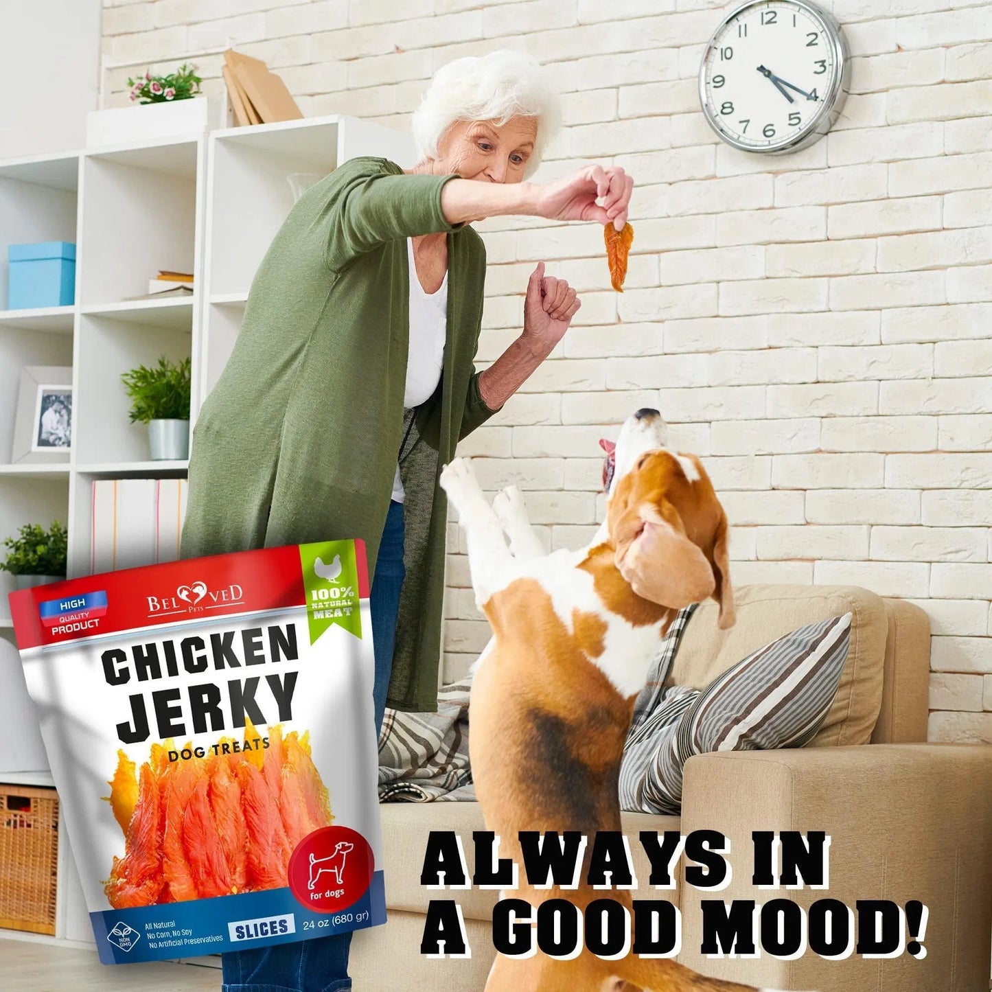 Chicken Jerky Dog Treats 1.5 Lb Human Grade Pet Snacks Grain Free Organic Meat All Natural High Protein Dried Strips Best Chews For Training Small & Large Dogs Pawsentialshub