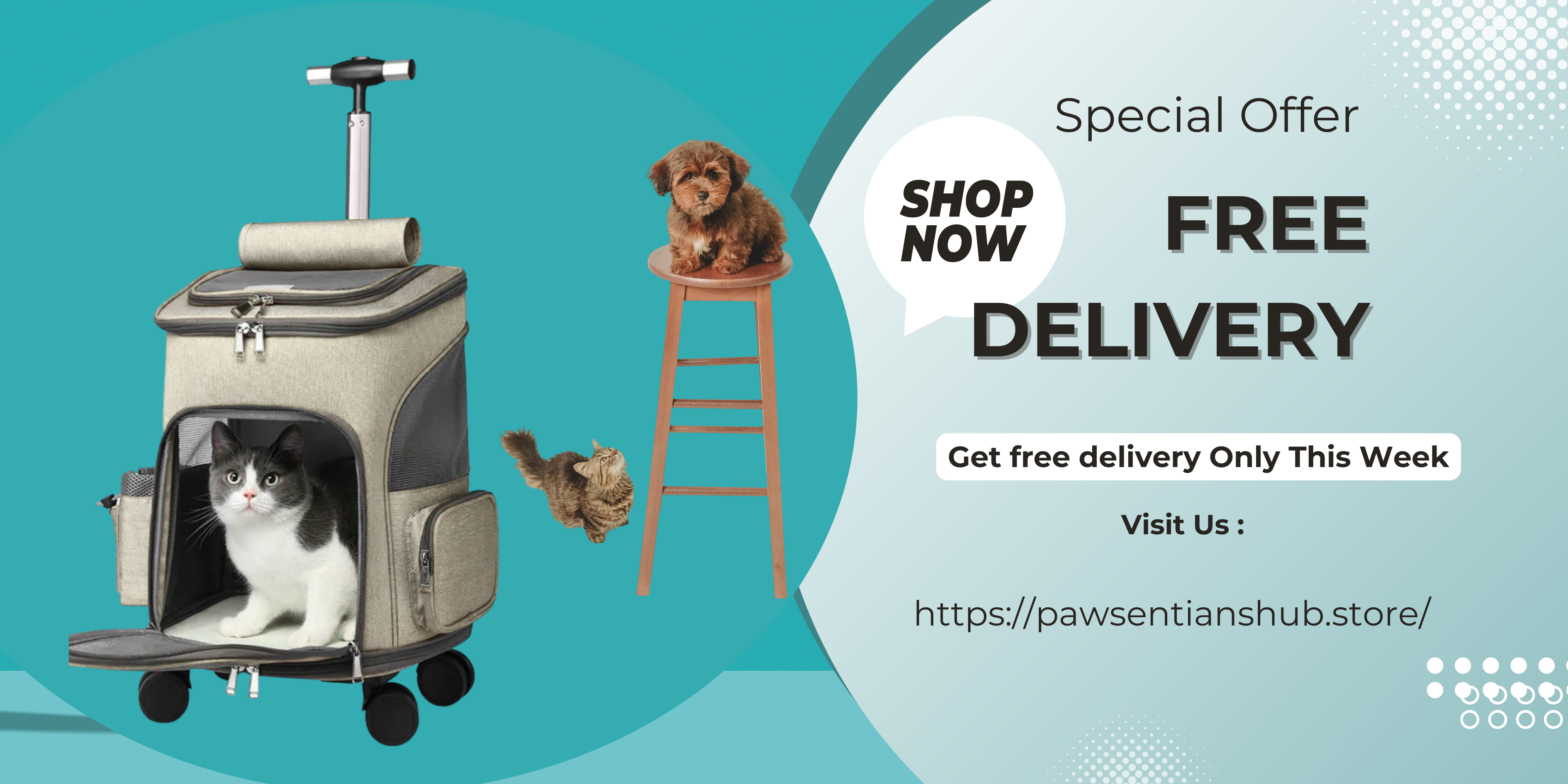 pet-houses-and-cages Pawsentialshub