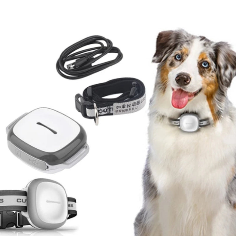 Collared Cat Dog Tracker Pet Locator Pet My Store