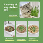 Lazy Cat Grass Canned Hydroponic Soilless Depilation Ball Digestive Snacks Pawsentialshub