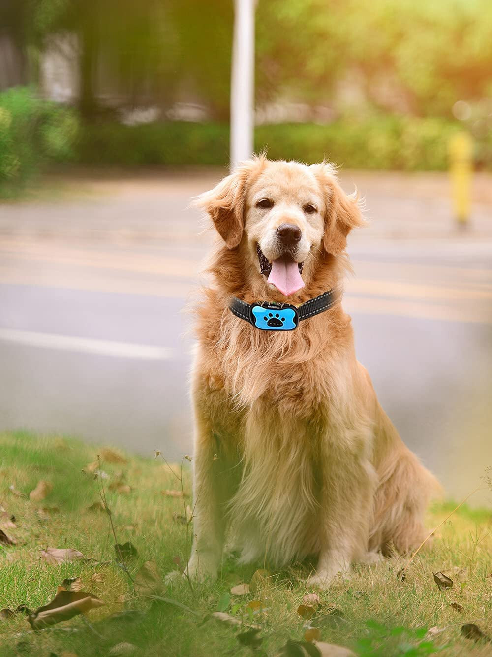 Anti Bark Collar Stop Dog Barking Sound Vibration S-M-L Adjustable Rechargeable Pawsentialshub