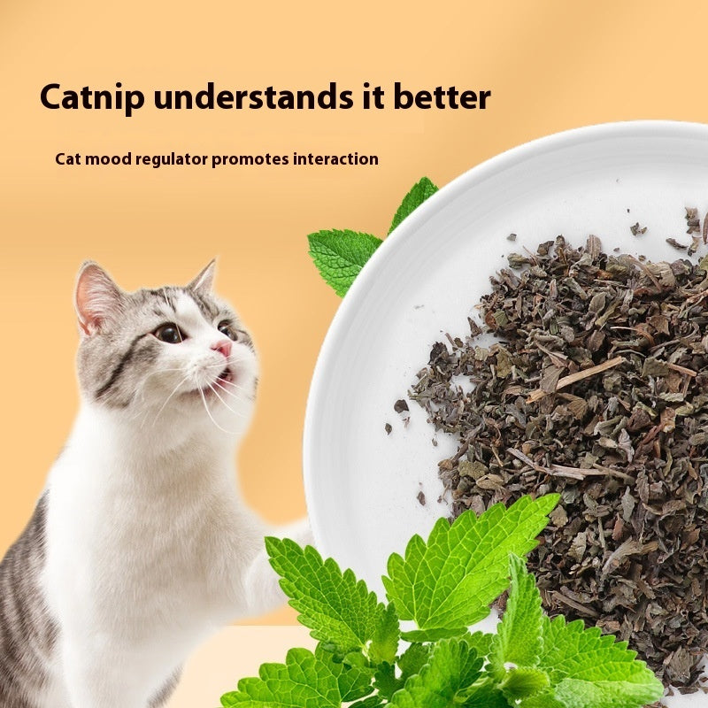 Cat Mint Leaf Powder Pet Cat Snacks Pawsentialshub