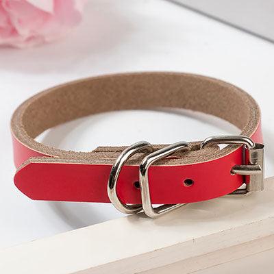 Luxury Leather Dog Collar - Stylish And Durable Pet Chain-1