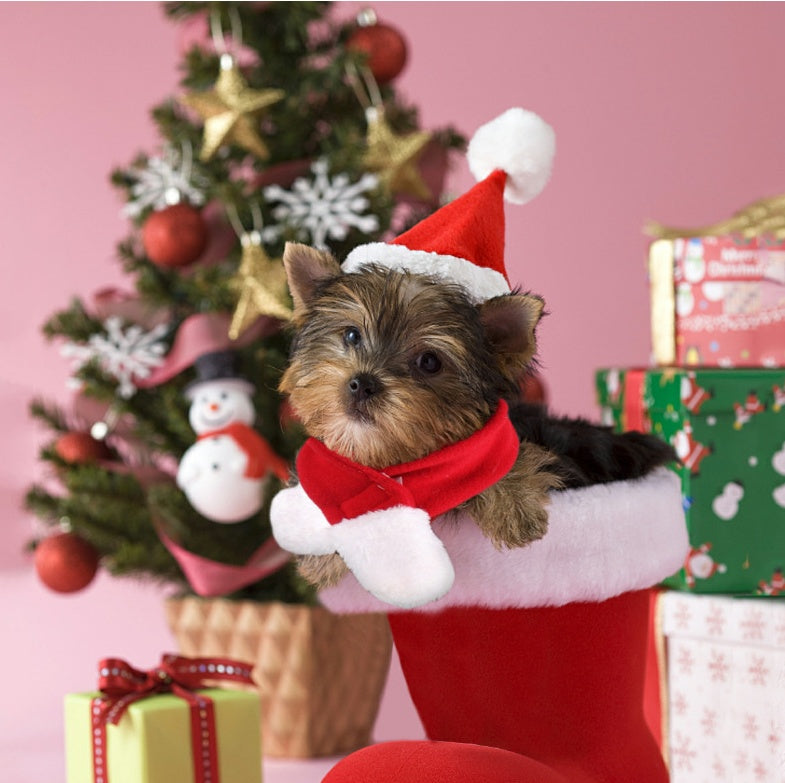Pet supplies Christmas hat scarf set cat and dog small pet - Pawsentialshub