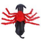 Pet Cat Dog Halloween Creative Spider Costume Pawsentialshub