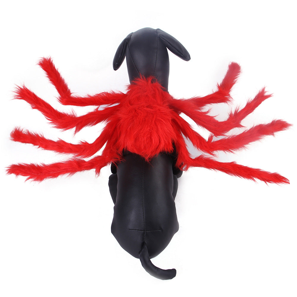 Pet Cat Dog Halloween Creative Spider Costume Pawsentialshub