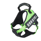 Pet Harness - Pawsentialshub