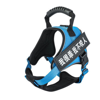 Pet Harness - Pawsentialshub