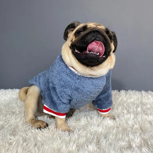 Pet sweater - Pawsentialshub