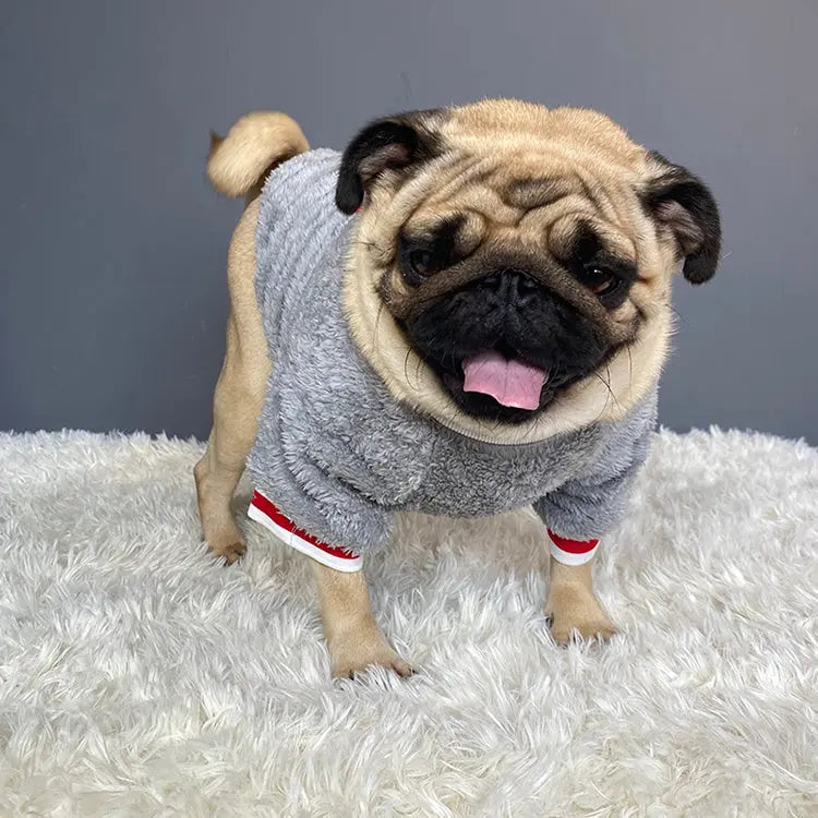Pet sweater - Pawsentialshub