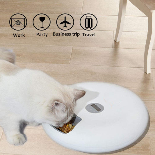 Automatic Feeder Pet Cats And Dogs Snacks Pawsentialshub