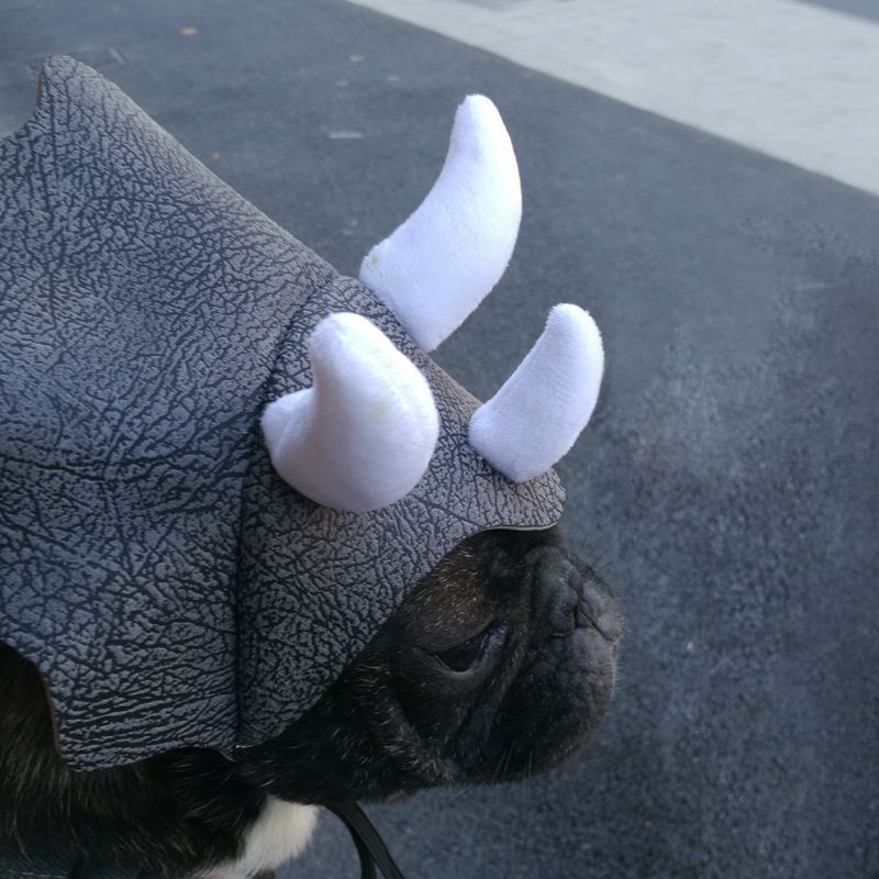 Pet Triceratops Dog Dinosaur Hat Pet Cat Dog Hat Pet Transformation Cap Pet Headgear Costume Pawsentialshub