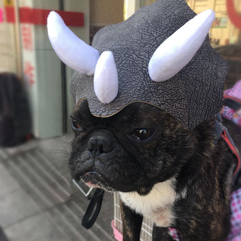 Pet Triceratops Dog Dinosaur Hat Pet Cat Dog Hat Pet Transformation Cap Pet Headgear Costume Pawsentialshub