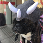 Pet Triceratops Dog Dinosaur Hat Pet Cat Dog Hat Pet Transformation Cap Pet Headgear Costume Pawsentialshub