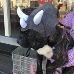 Pet Triceratops Dog Dinosaur Hat Pet Cat Dog Hat Pet Transformation Cap Pet Headgear Costume Pawsentialshub