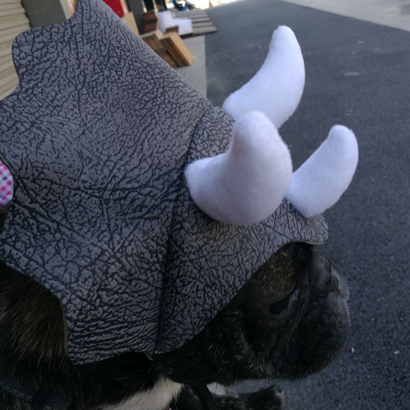 Pet Triceratops Dog Dinosaur Hat Pet Cat Dog Hat Pet Transformation Cap Pet Headgear Costume Pawsentialshub
