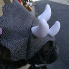 Pet Triceratops Dog Dinosaur Hat Pet Cat Dog Hat Pet Transformation Cap Pet Headgear Costume Pawsentialshub