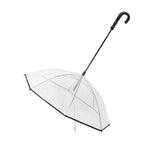 Dog's Transparent Umbrella With Traction Chain Removable Umbrella Pet Products - Pawsentialshub