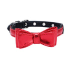 Pet collar - Pawsentialshub