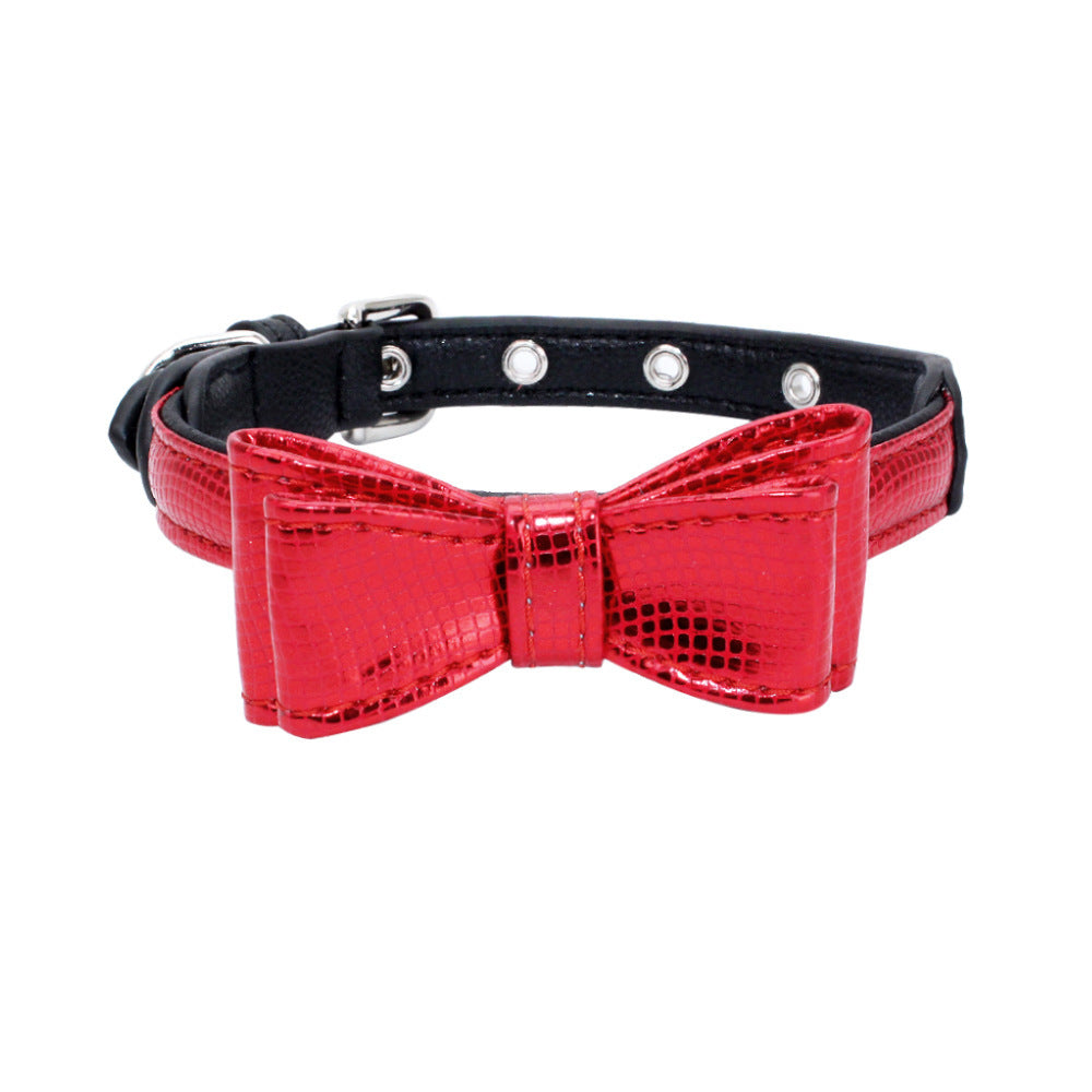 Pet collar - Pawsentialshub