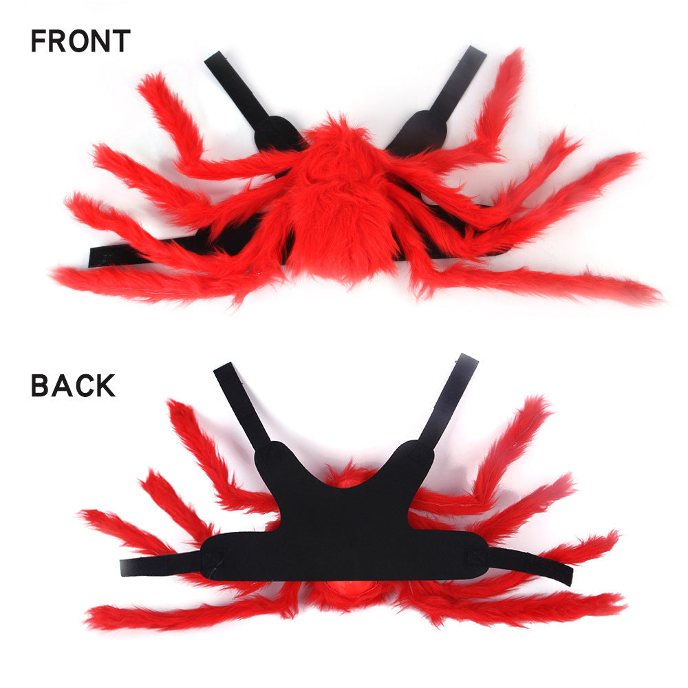 Pet Cat Dog Halloween Creative Spider Costume Pawsentialshub