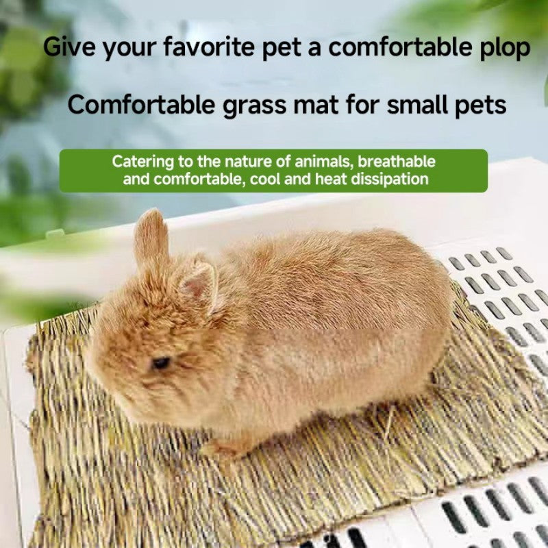 Pet Cushion - Pawsentialshub