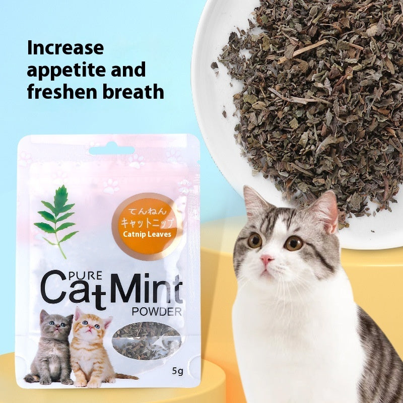 Cat Mint Leaf Powder Pet Cat Snacks Pawsentialshub