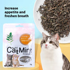 Cat Mint Leaf Powder Pet Cat Snacks Pawsentialshub