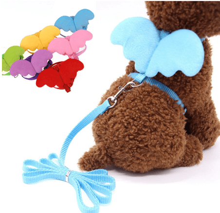 Little Angel Wings Pet Leash-0