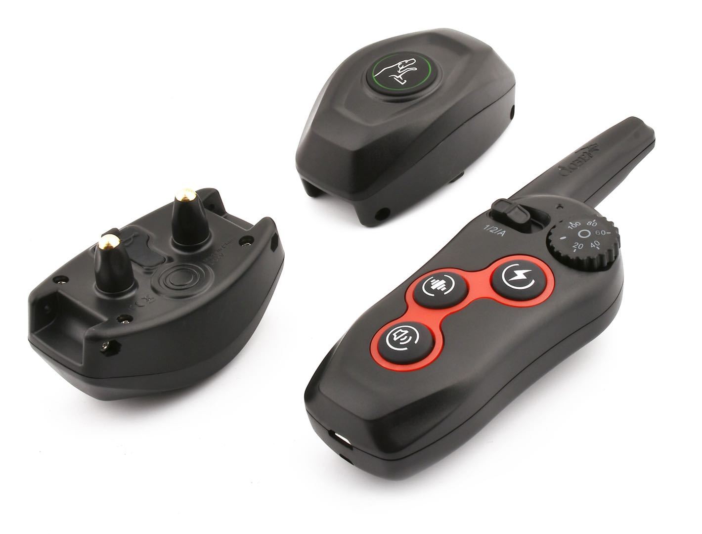 Pet trainer - Pawsentialshub