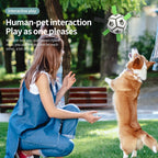 Interactive Dog Football Toy Soccer Ball Inflated Training Toy For Dogs Outdoor Border Collie Balls For Large Dogs Pet Supplies Pawsentianshub