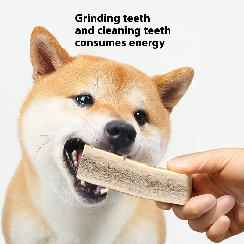 Bite Resistant And Teeth Cleaning Pet Snacks Pawsentialshub