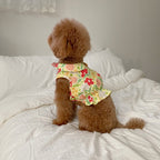 Bear Teddy Dog Skirt Pet Cat Clothes Pawsentialshub