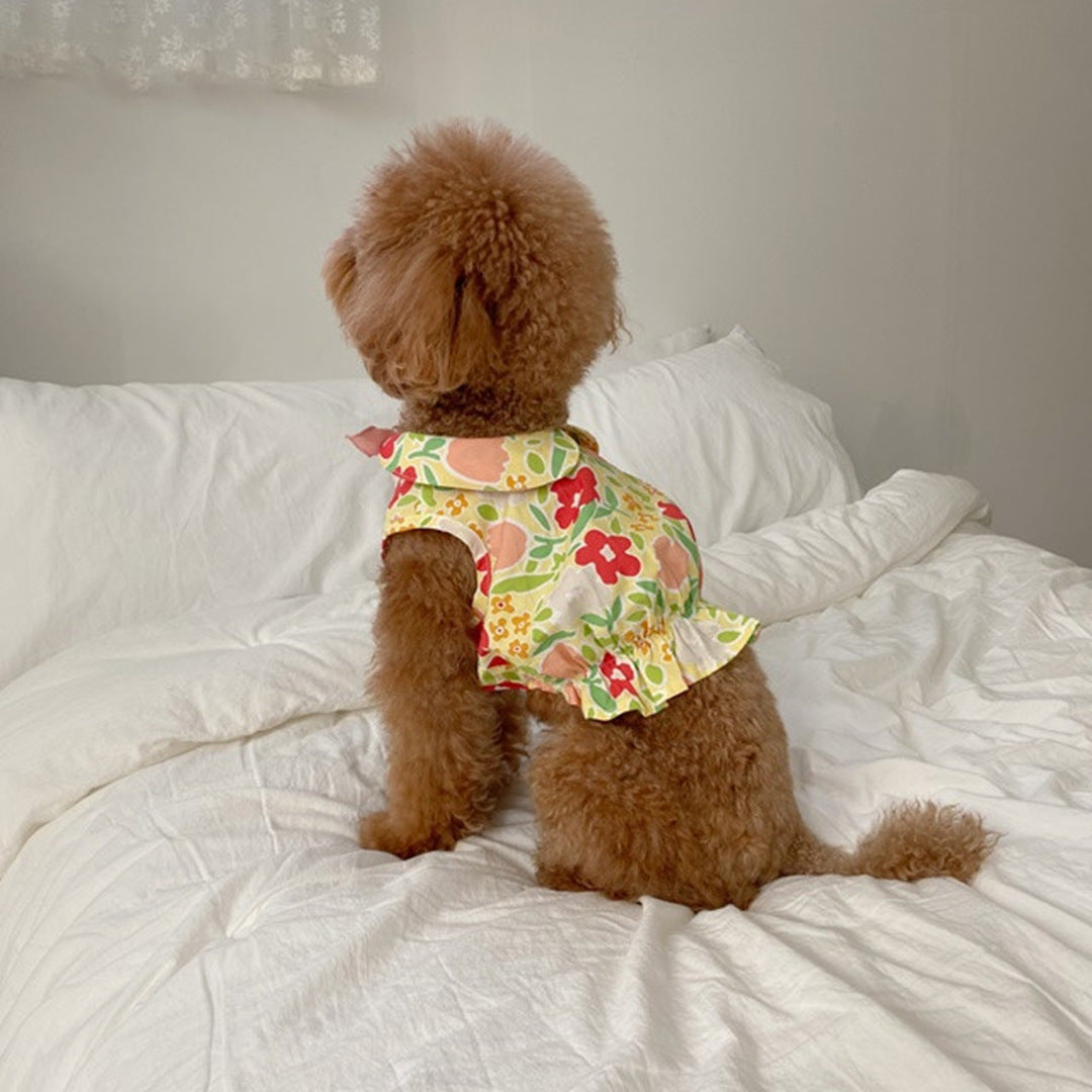 Bear Teddy Dog Skirt Pet Cat Clothes Pawsentialshub