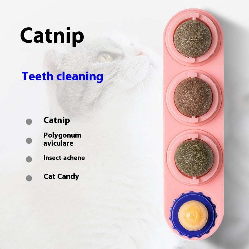 Cat Toy Snacks Molar Long Lasting Pet Supplies Pawsentialshub